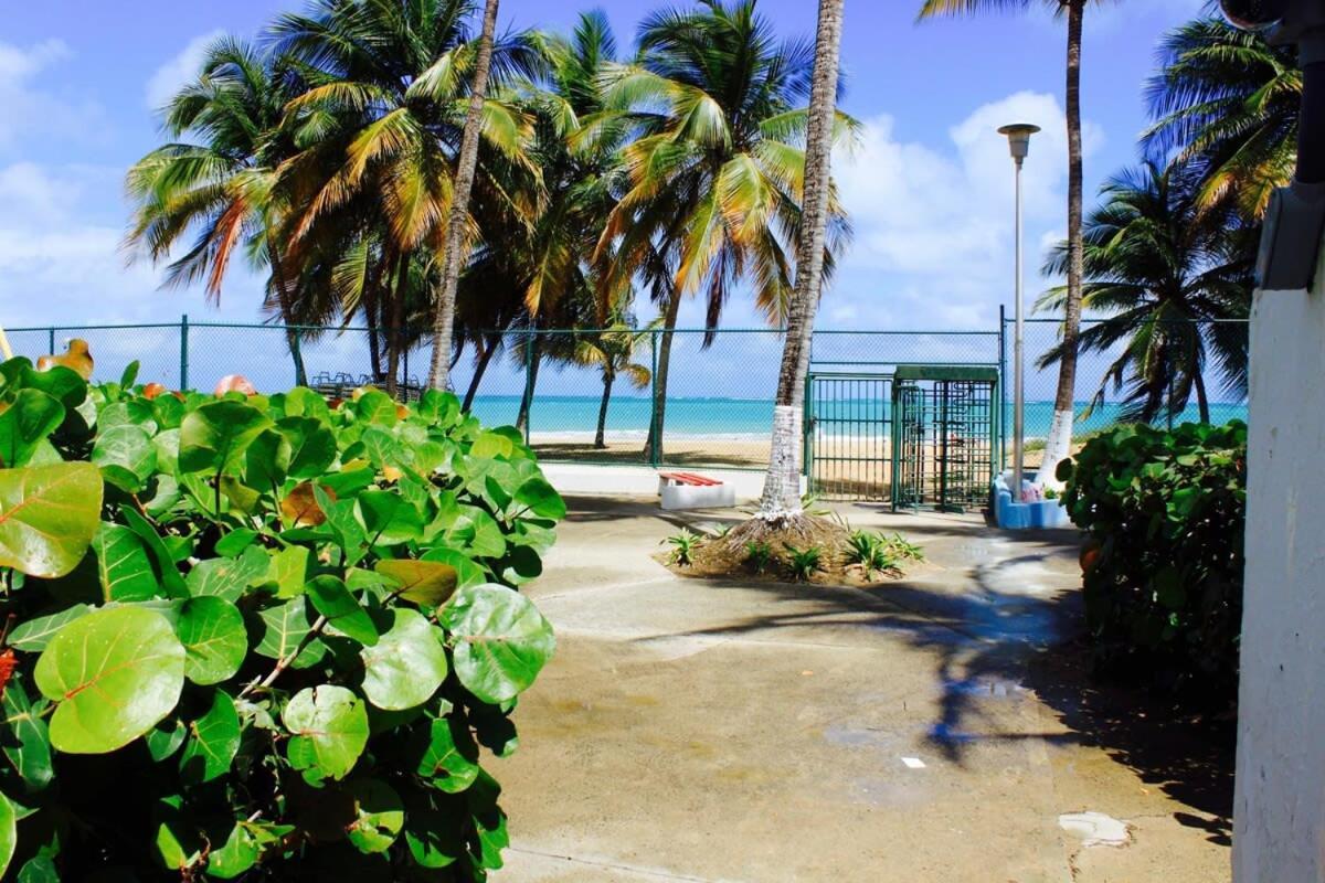 2Br Gem Ocean Front Building Isla Verde Beach San Juan Kültér fotó